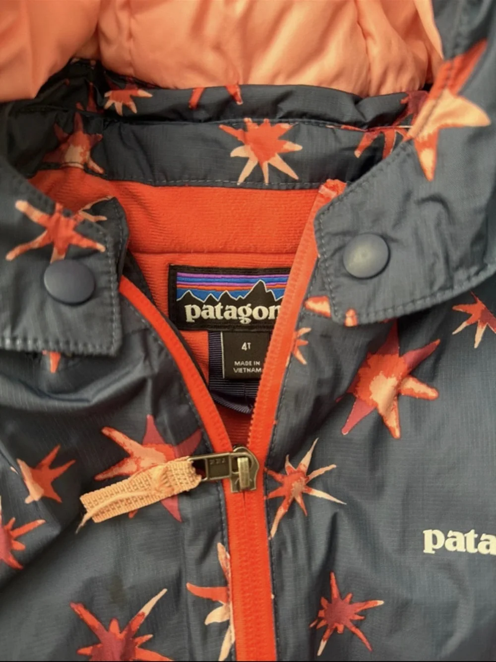 Patagonia water resistant